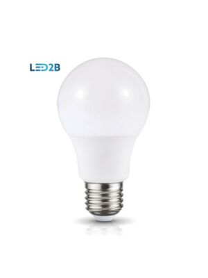 Lampadina LED K-Light E27 GS 7W-470 lm/4000K LED2B
